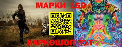 стаф Шелехов