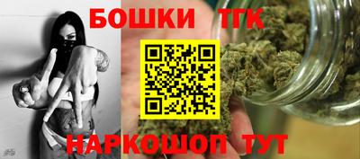 стаф Шелехов