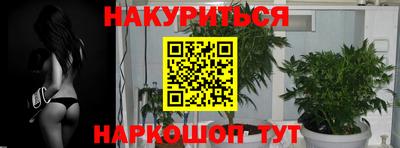 прущая мука Шебекино