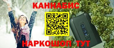 стаф Шелехов