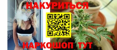 стаф Шелехов