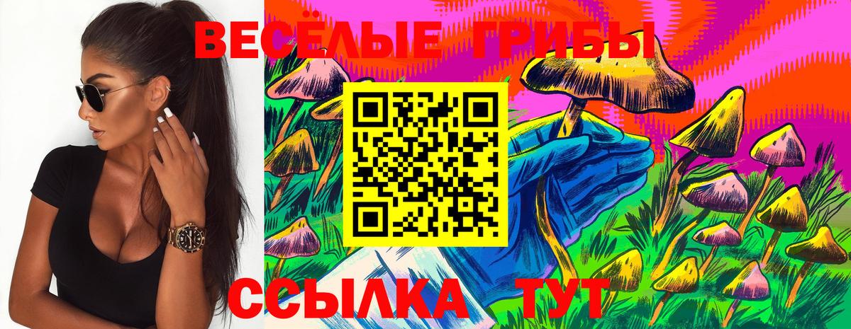 Галлюциногенные грибы мухоморы  Вход с VPN  Мичуринск 