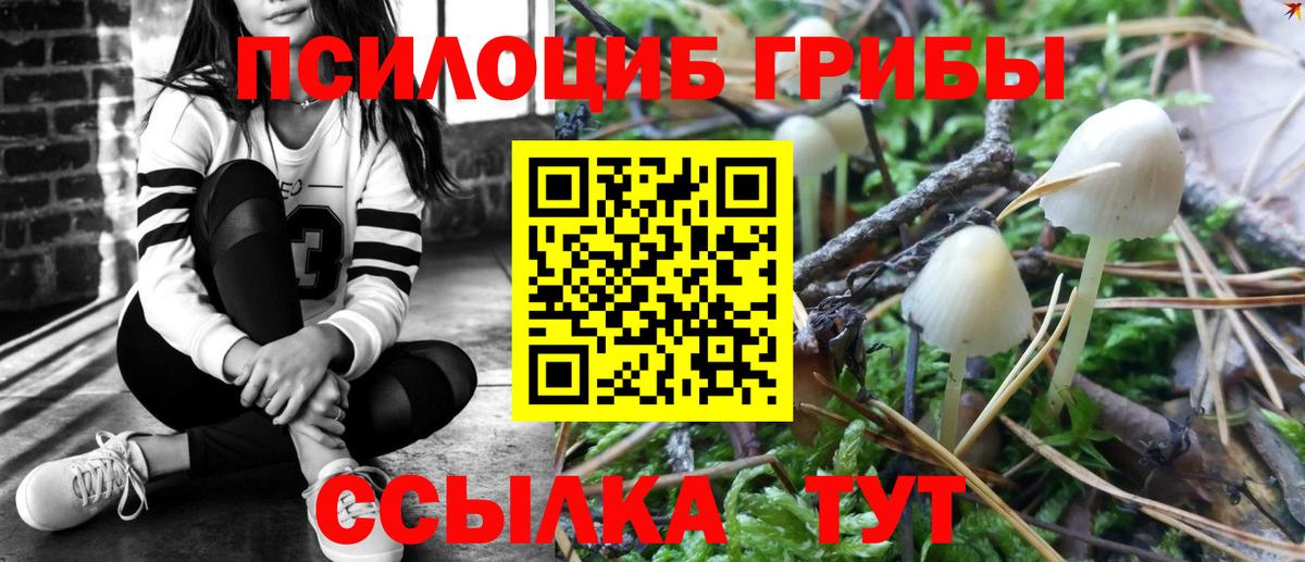 Галлюциногенные грибы GOLDEN TEACHER Мичуринск